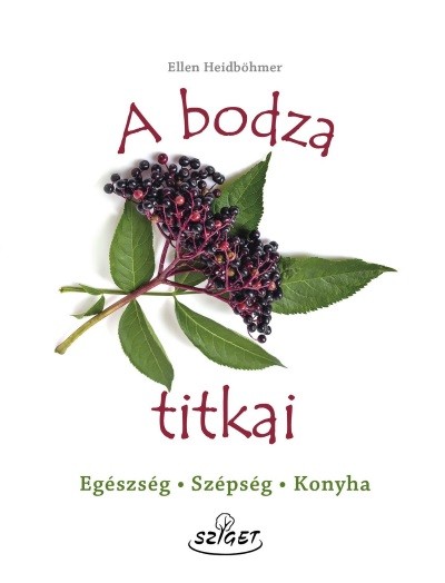 A bodza titkai