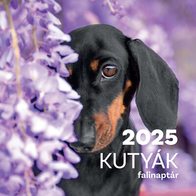 Kutyák falinaptár 2025